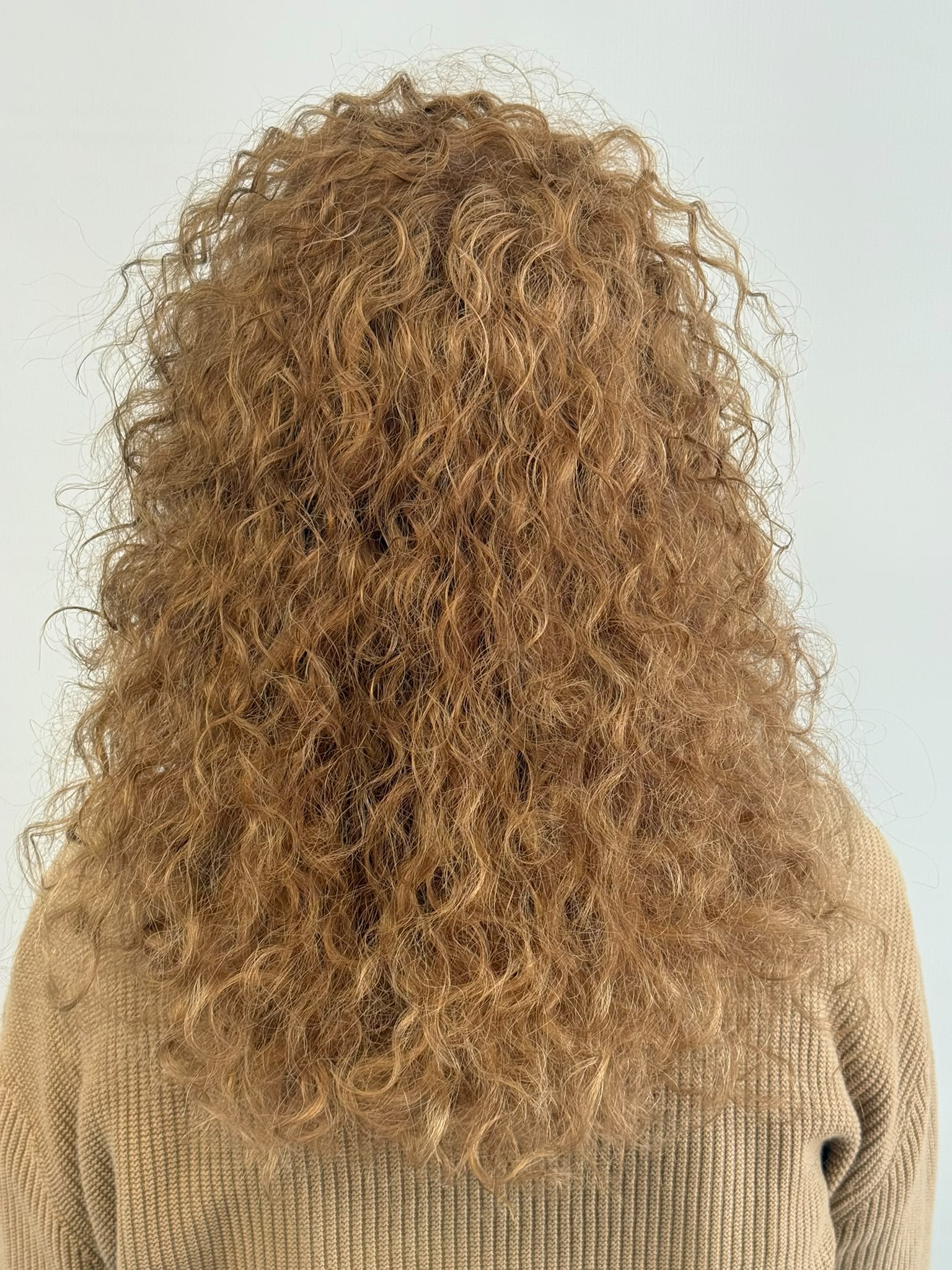 Lockenschnitt von hinten mit erhaltener Haarlänge und gleichmäßigen Locken